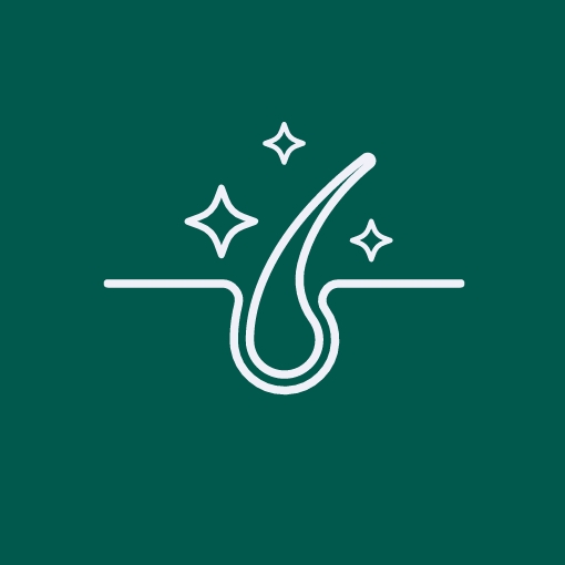 Shop Name: Hair Care